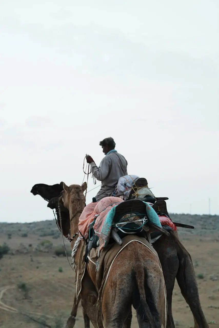 Camel ride at the dunes after a jeep safari