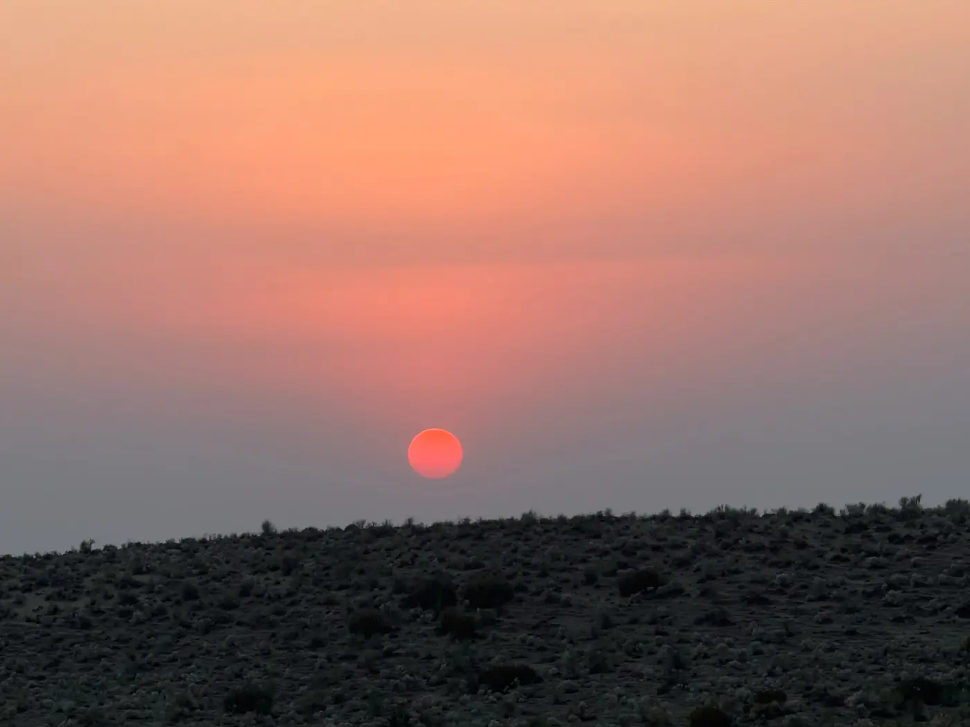 Red sun setting over the Thar desert near Jaisalmer